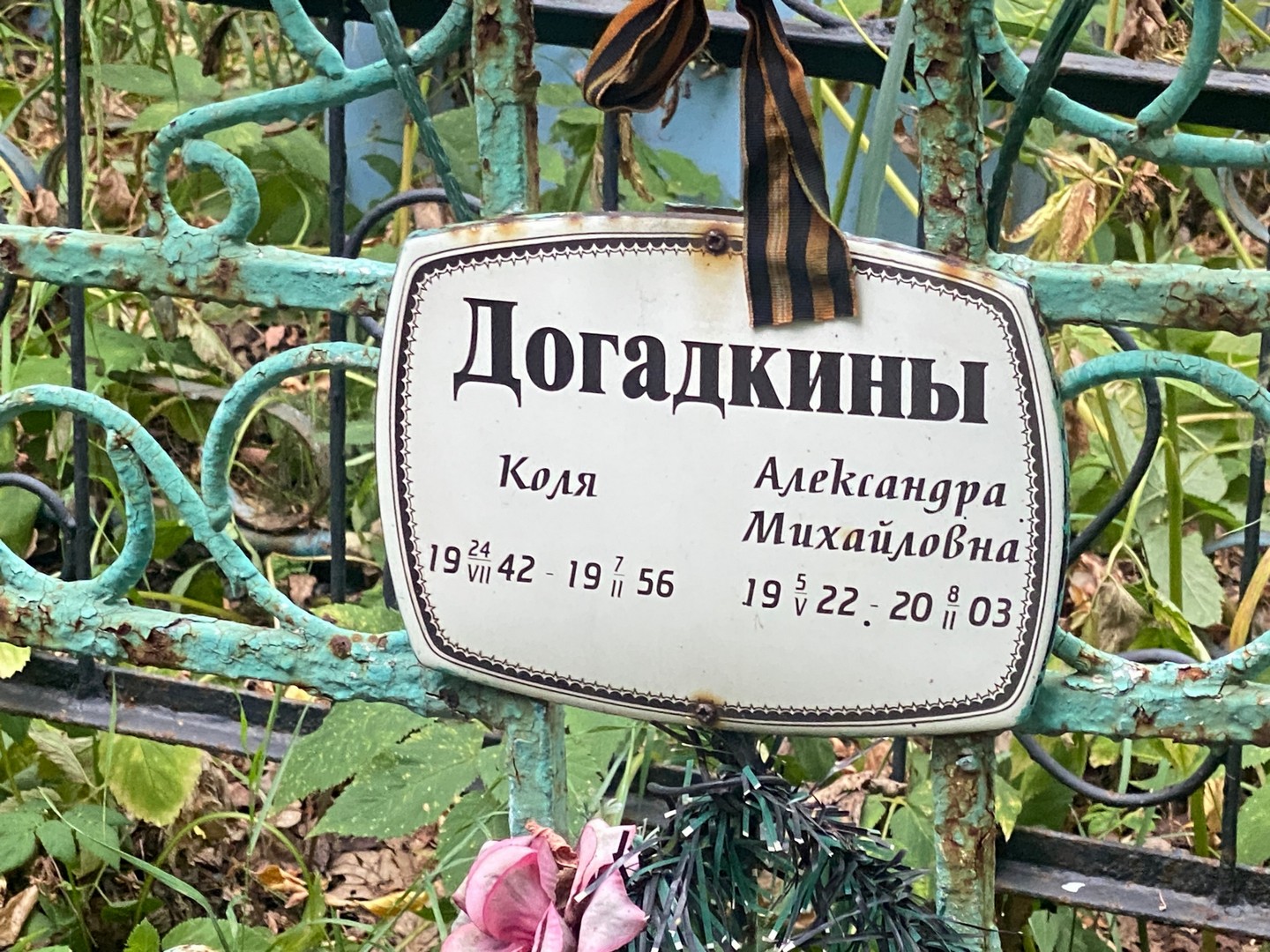Догадкин Догадкин