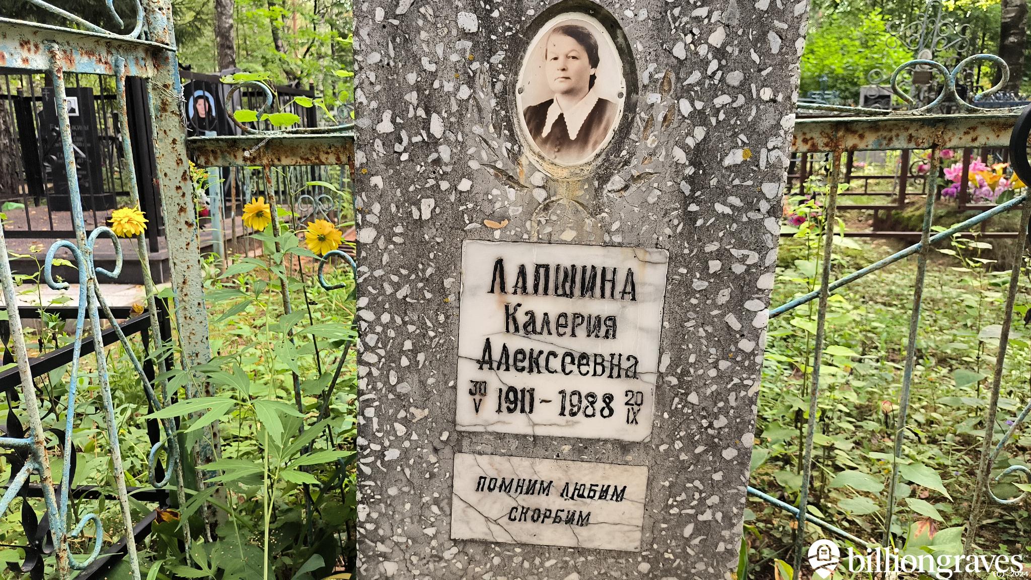 Лапшина Калерия Алексеевна
