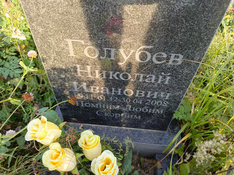 Голубев