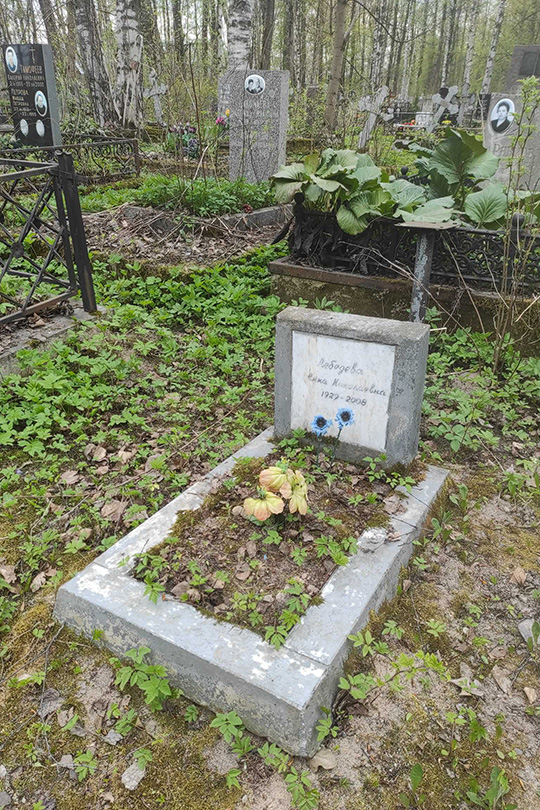 Лебедева Анна Николаевна