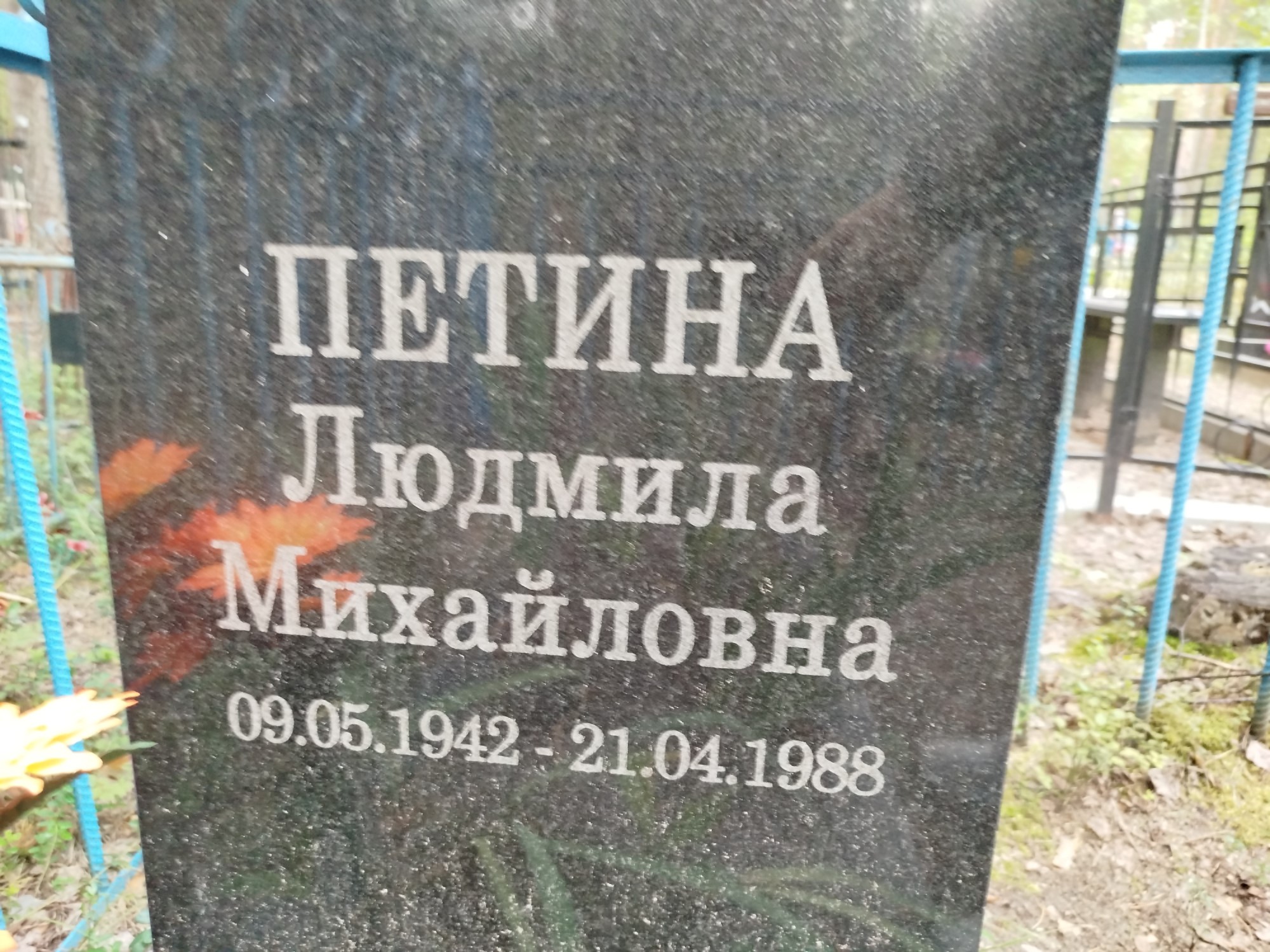 Петина Людмила Михайловна