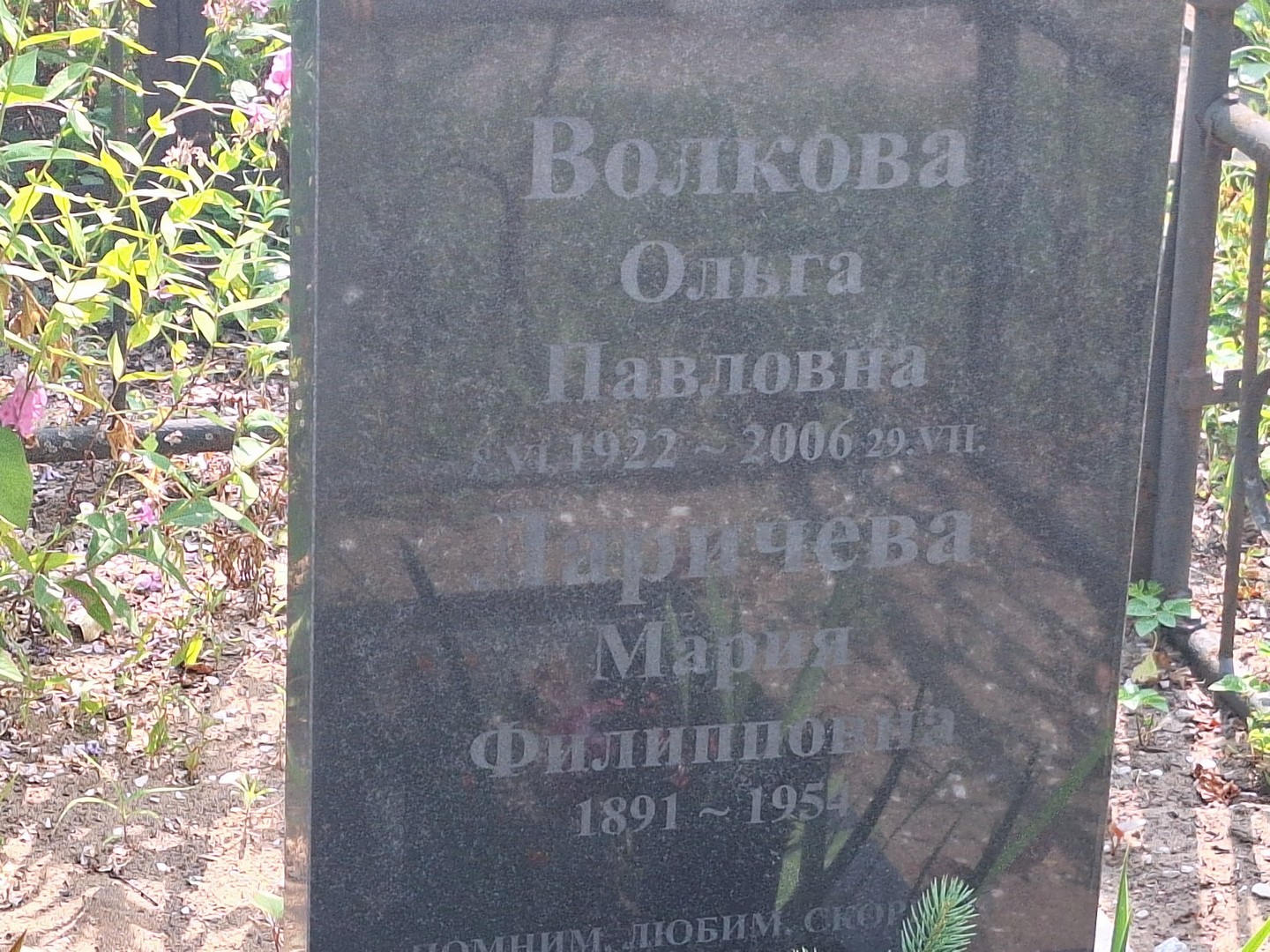 Волкова