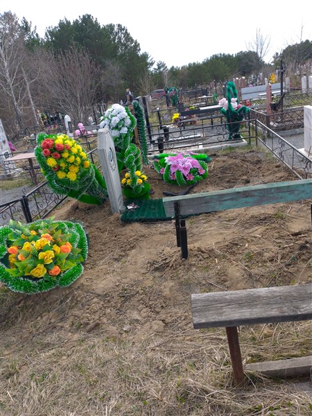 Левин Александр Юрьевич