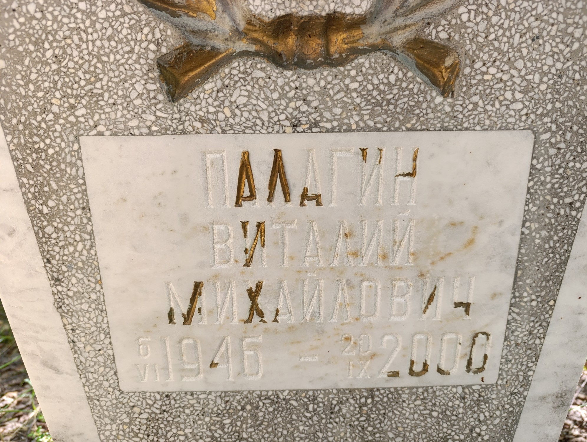 Палагин Виталий Михайлович