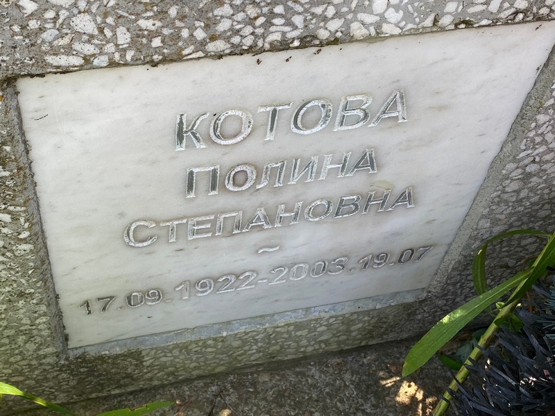 Котова