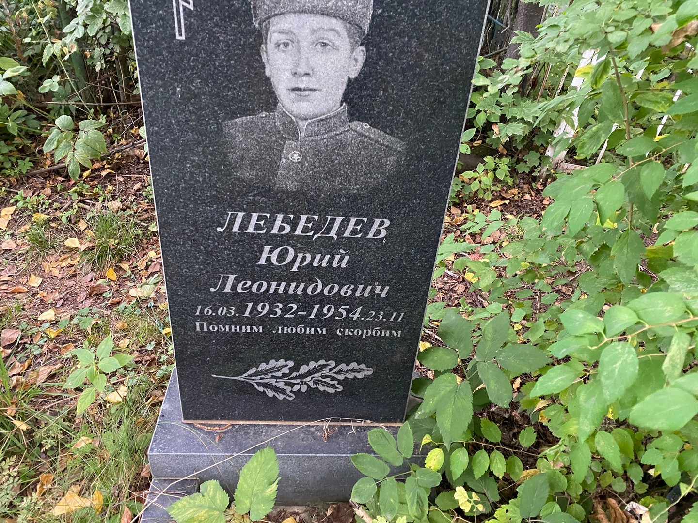 Лебедев