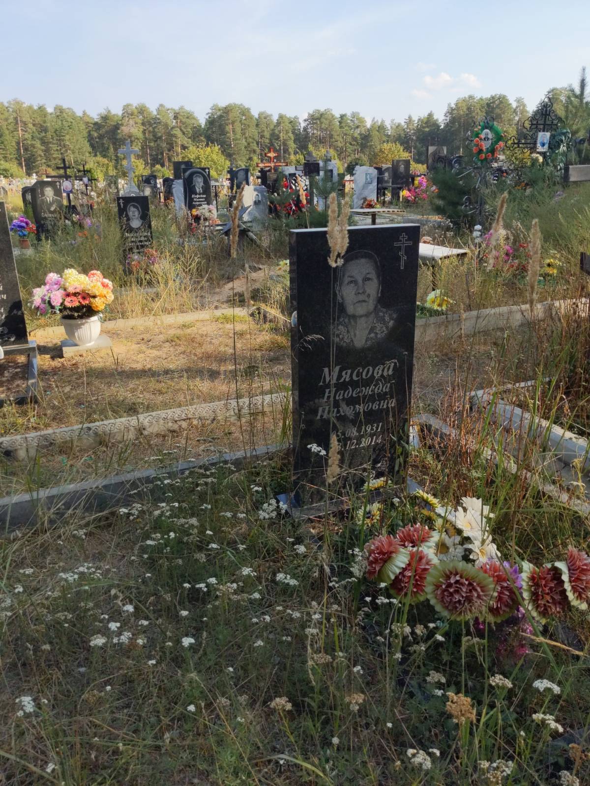 Мясов Николай Павлович