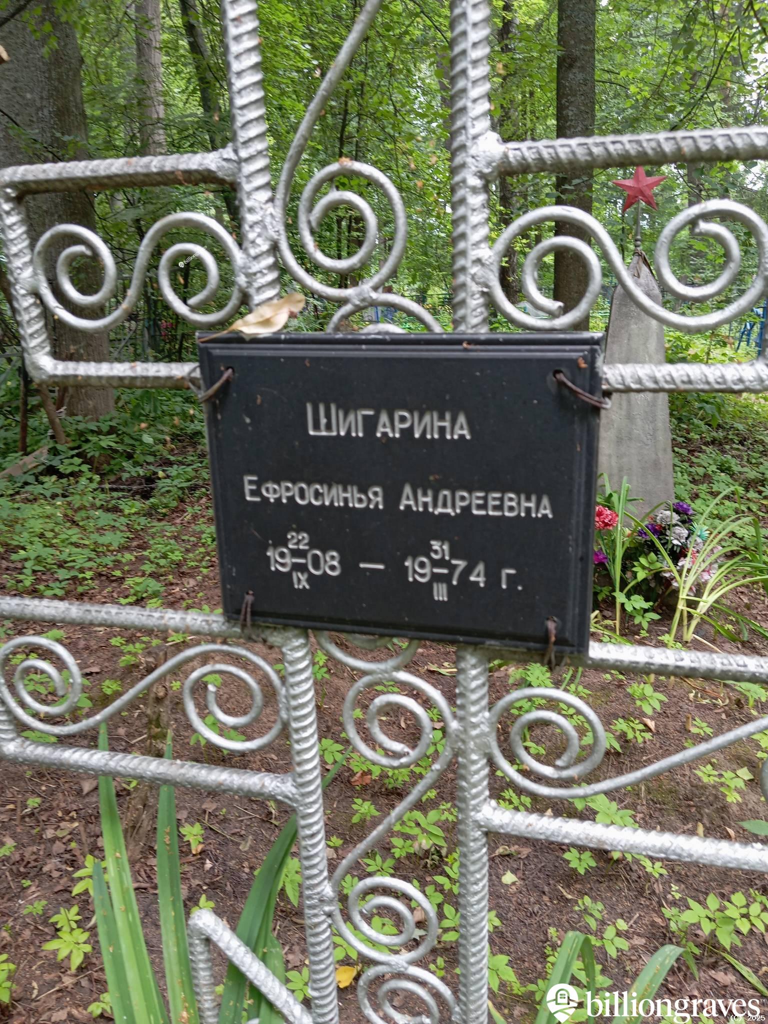 Шигарина Ефросинья Андреевна