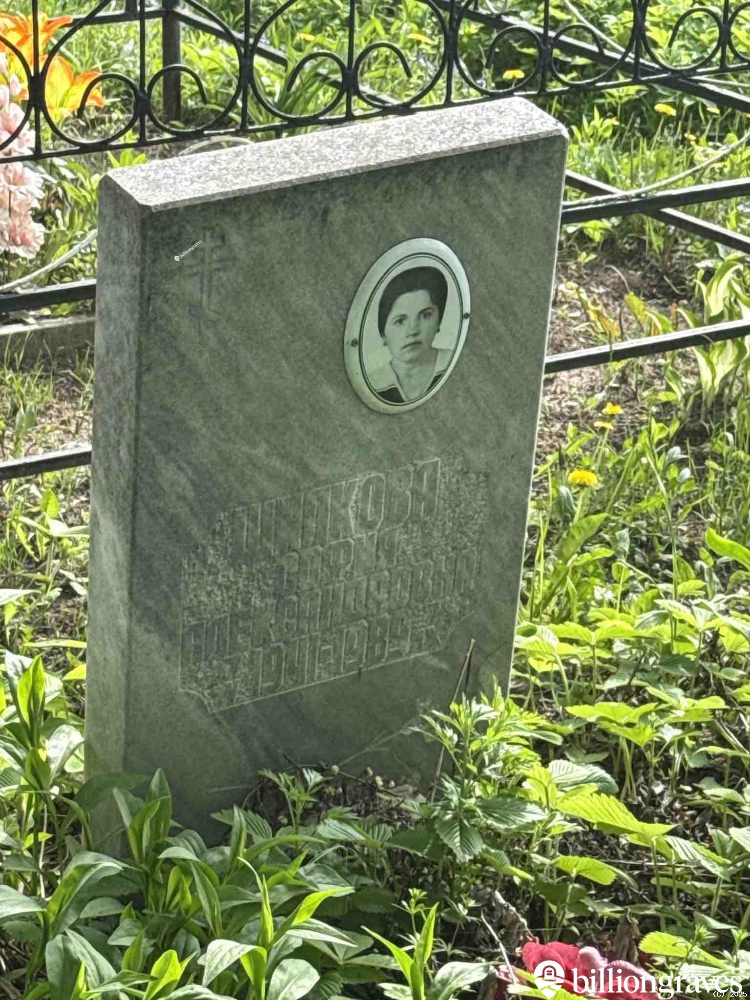 Щипкова София Александровна