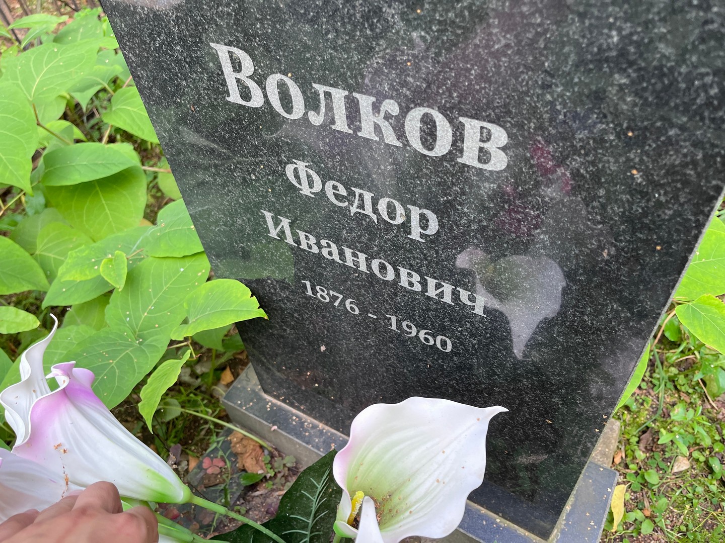 Волков