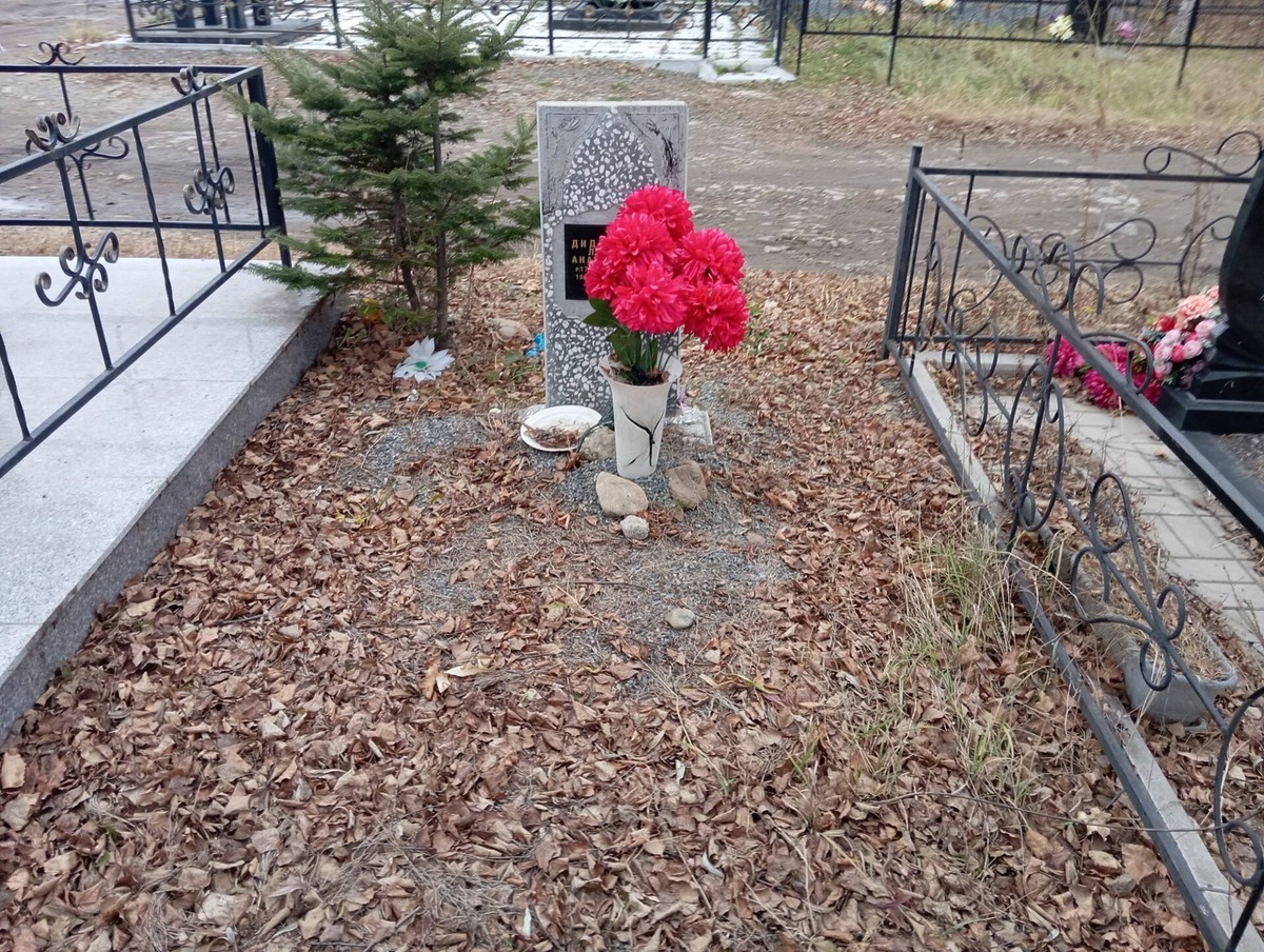 Дидковская Лариса Анатольевна