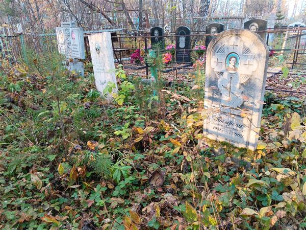 Косырев Георгий Николаевич