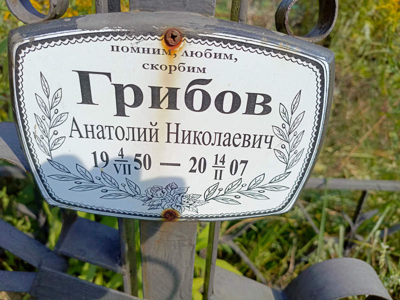 Грибов