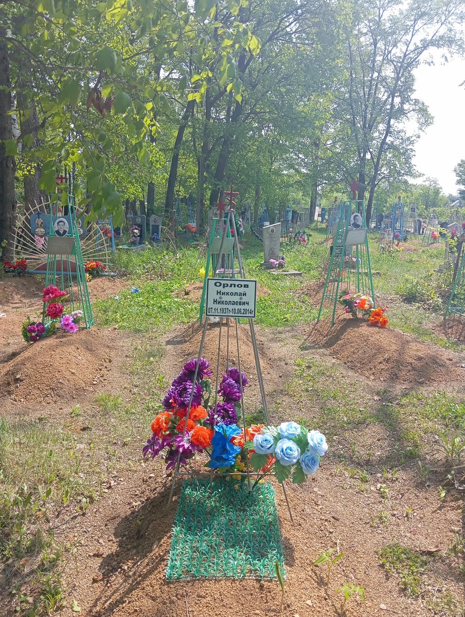 Орлов Николай Николаевич