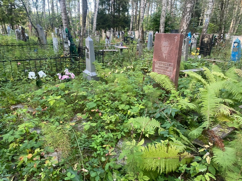 Старостин Анатолий Александрович