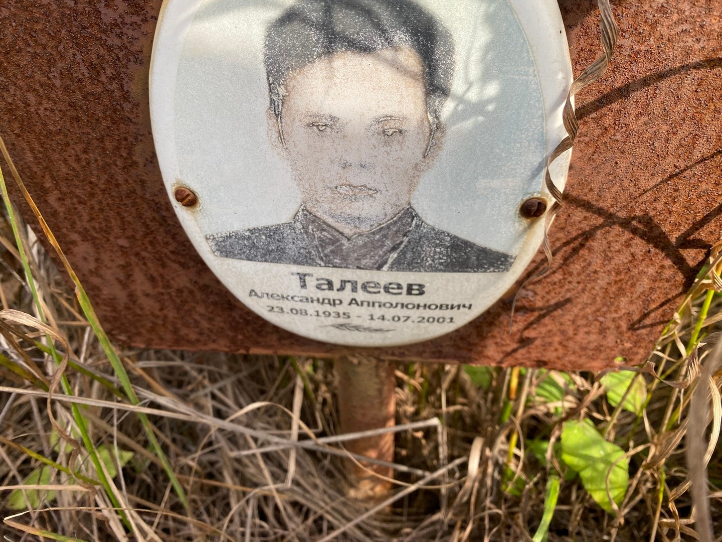Талеев