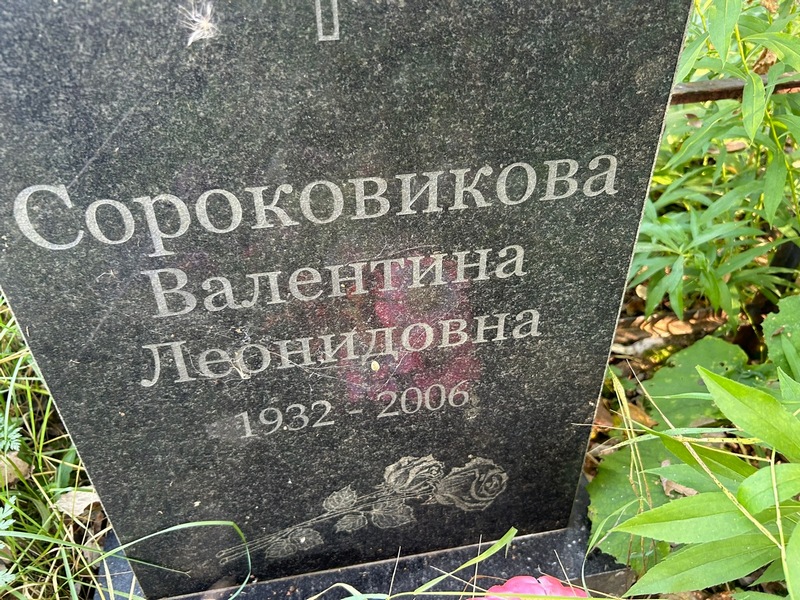 Сороковикова