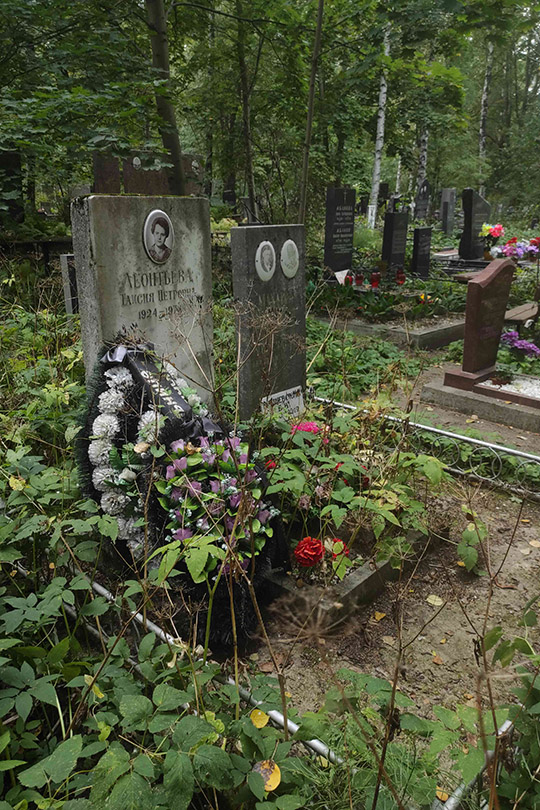 Вишневский В. В.