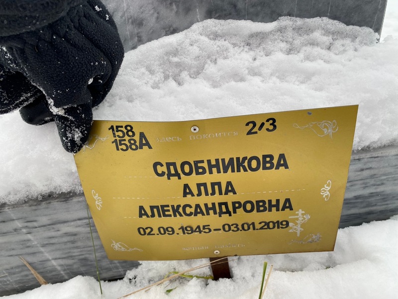 Алла Сдобникова Александровна