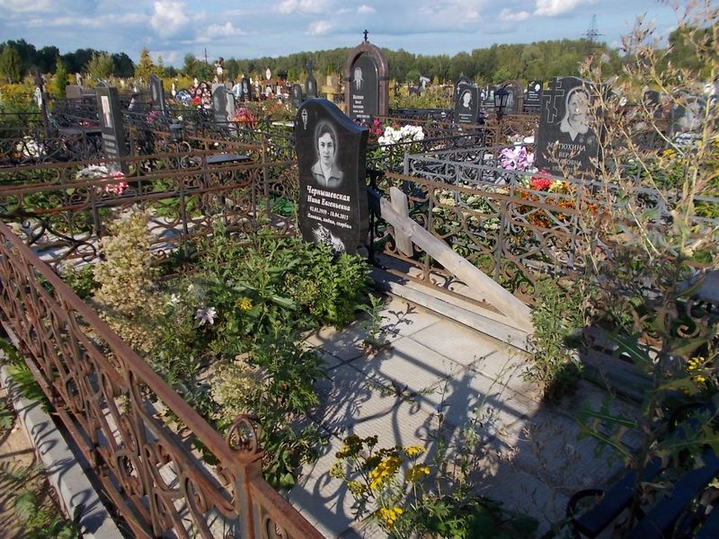 Чернышевская Нина Евгеньевна