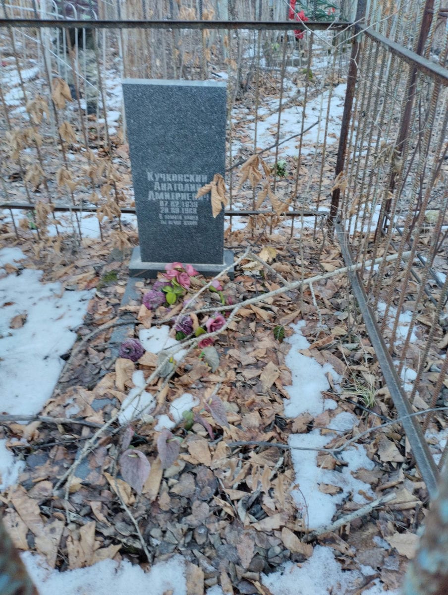 Кучковский Анатолий Дмитриевич