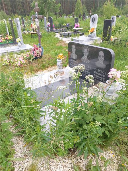 Селуков Алексей Николаевич