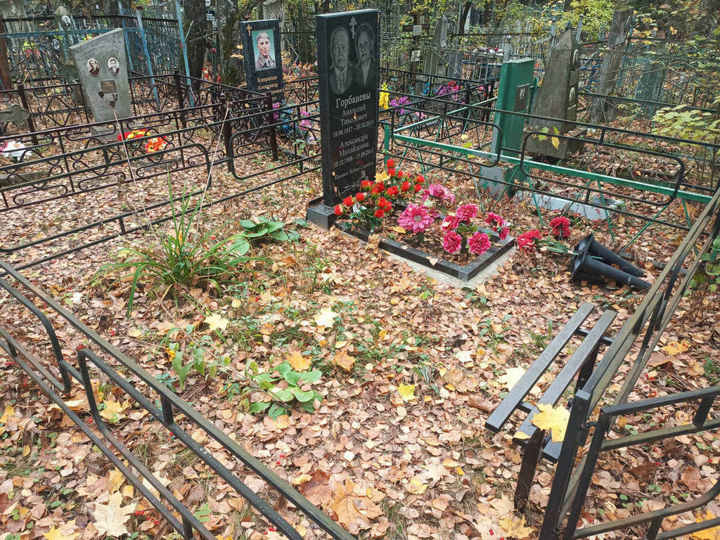 Горбанев Анатолий Тихонович