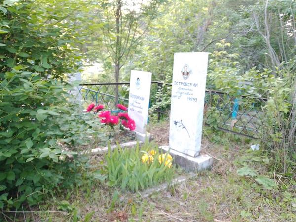 Островский Василий Петрович
