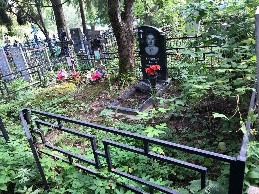 Бирюков Алексей Витальевич
