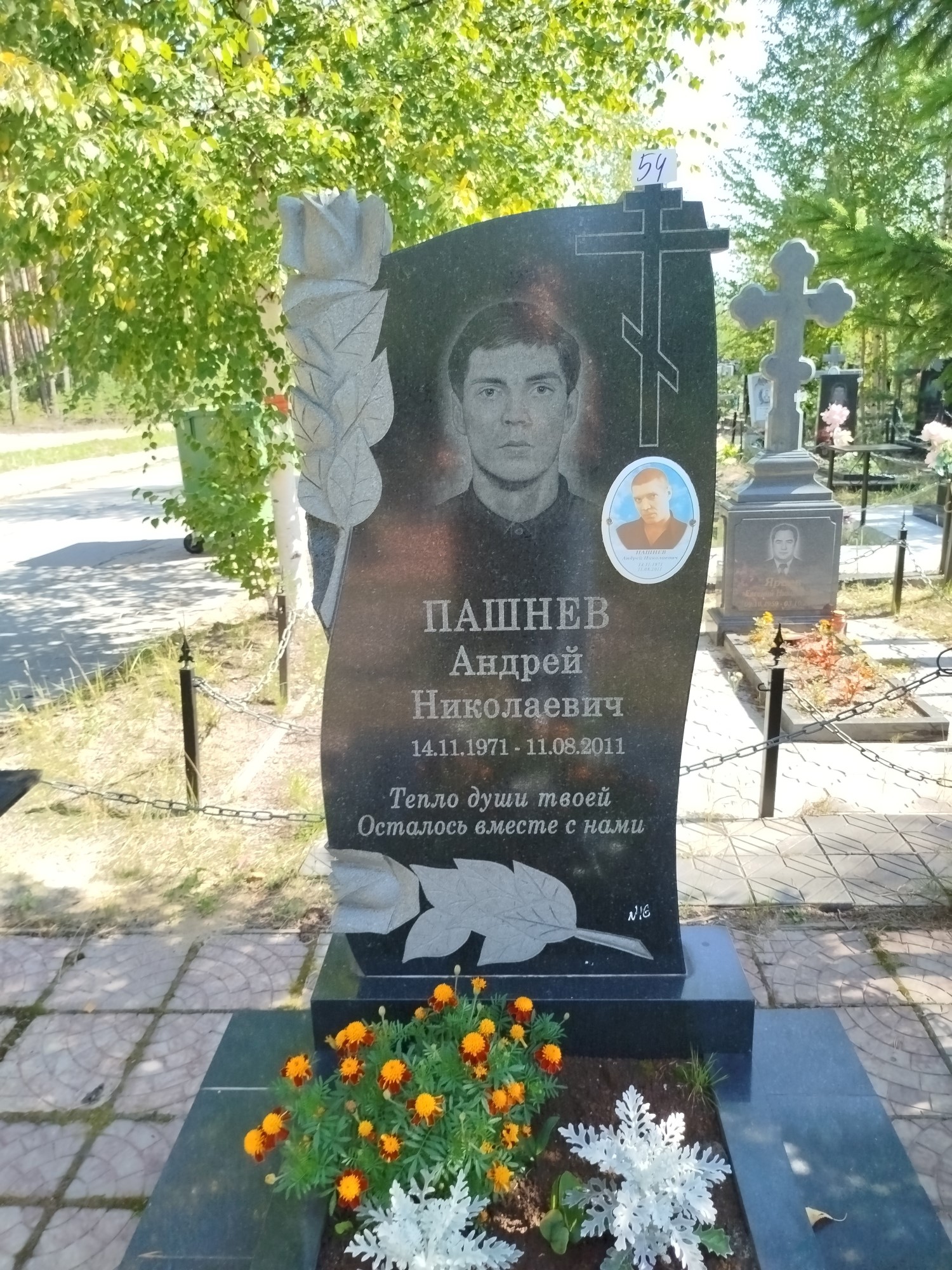 Пашнев Андрей Николаевич