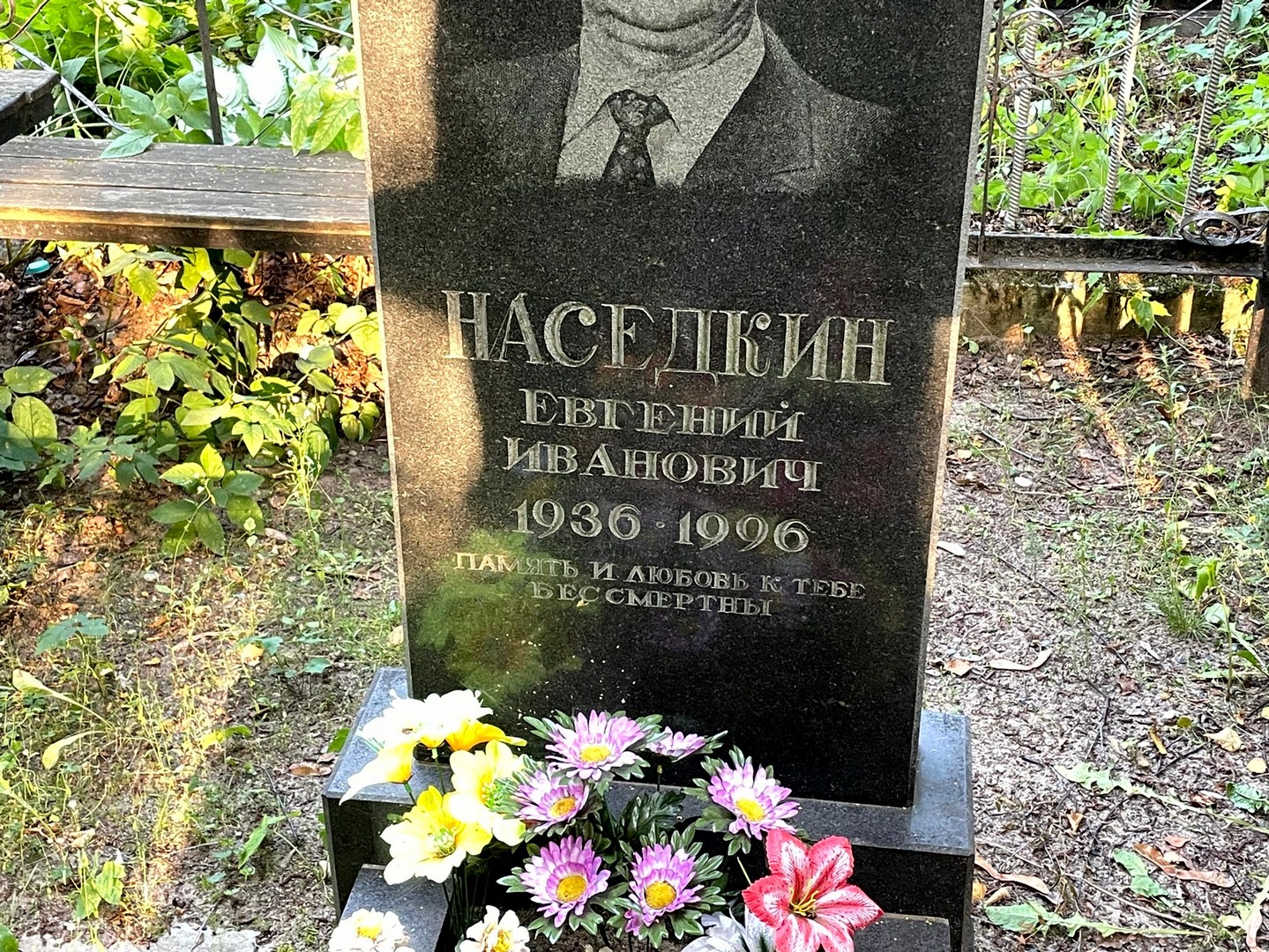 Наседкин