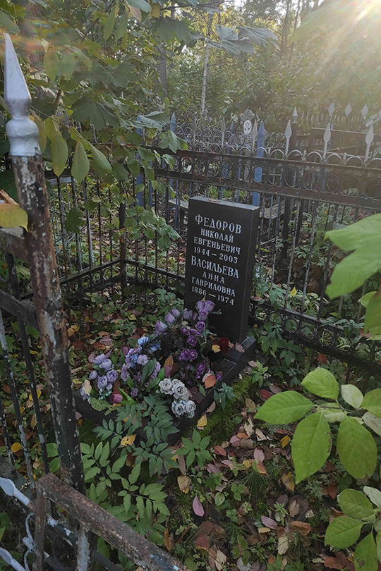 Федоров Николай Евгеньевич