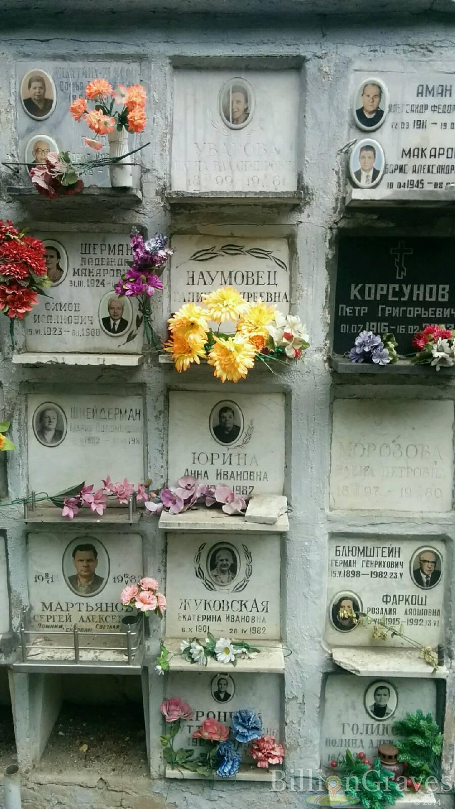 Блюмштейн Герман Генрихович