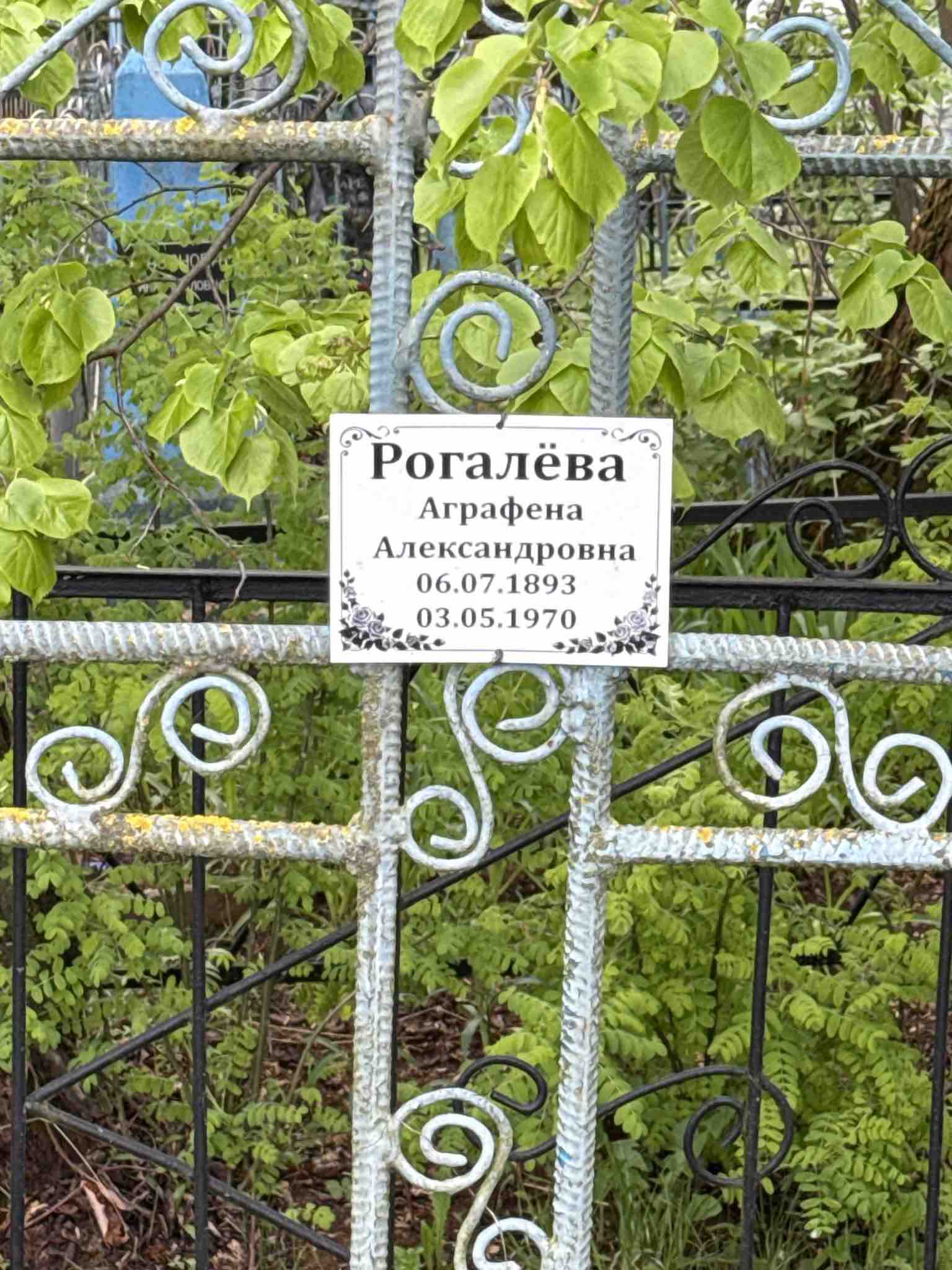 Рогалева Аграфена Александровна
