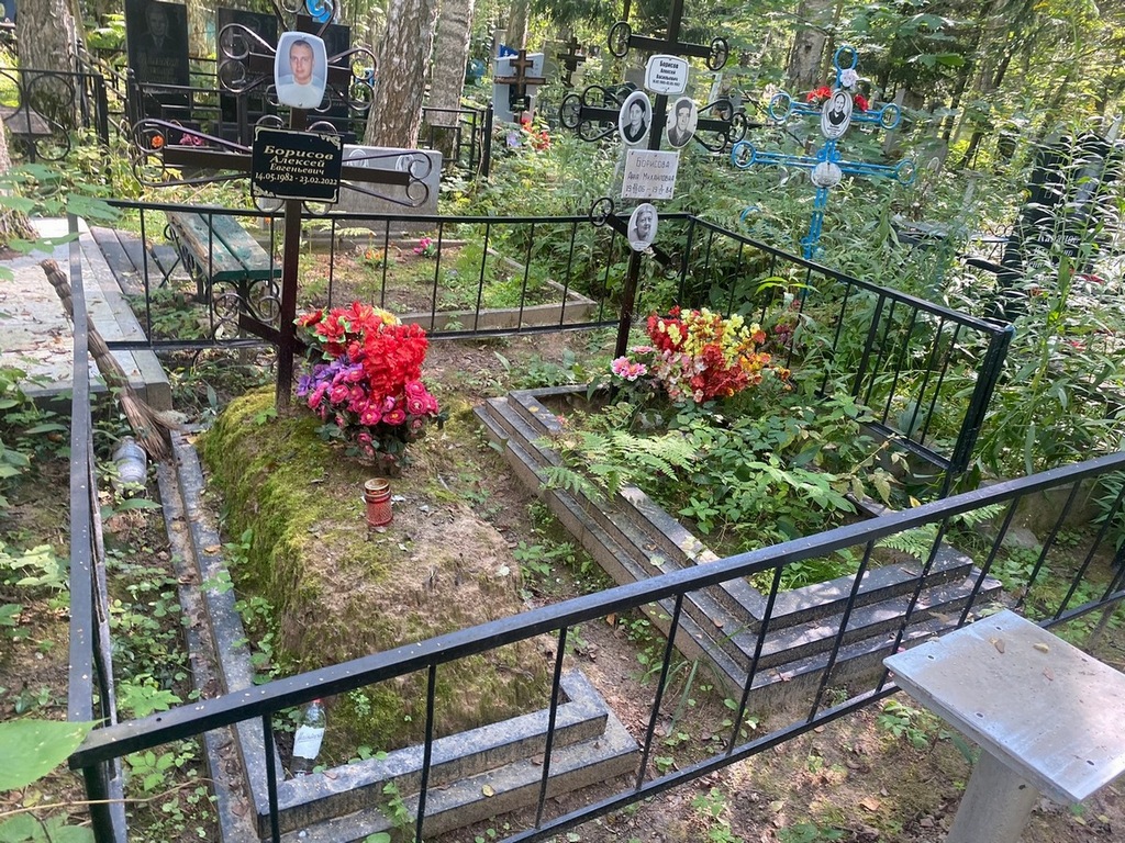 Борисов Алексей Евгеньевич