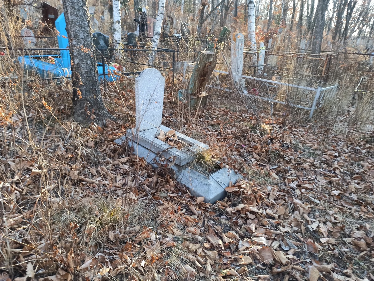 Волков Николай Георгиевич