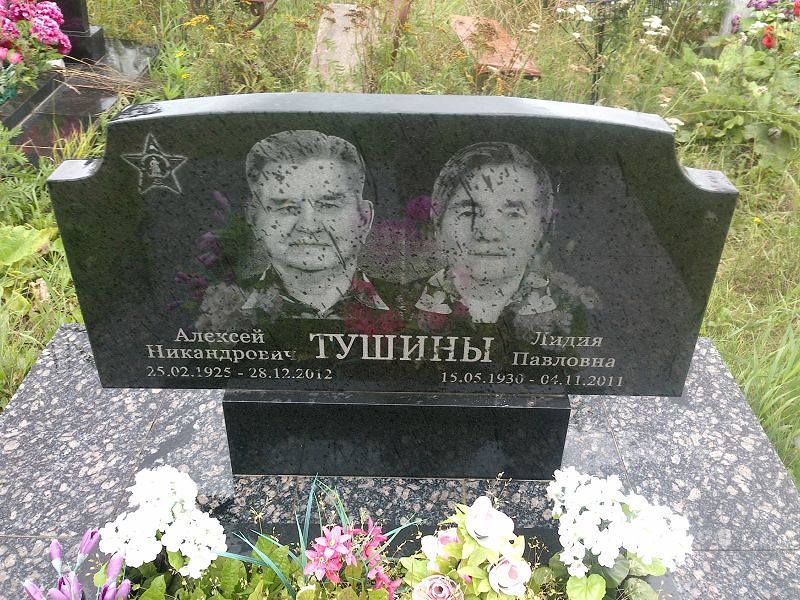 Тушина