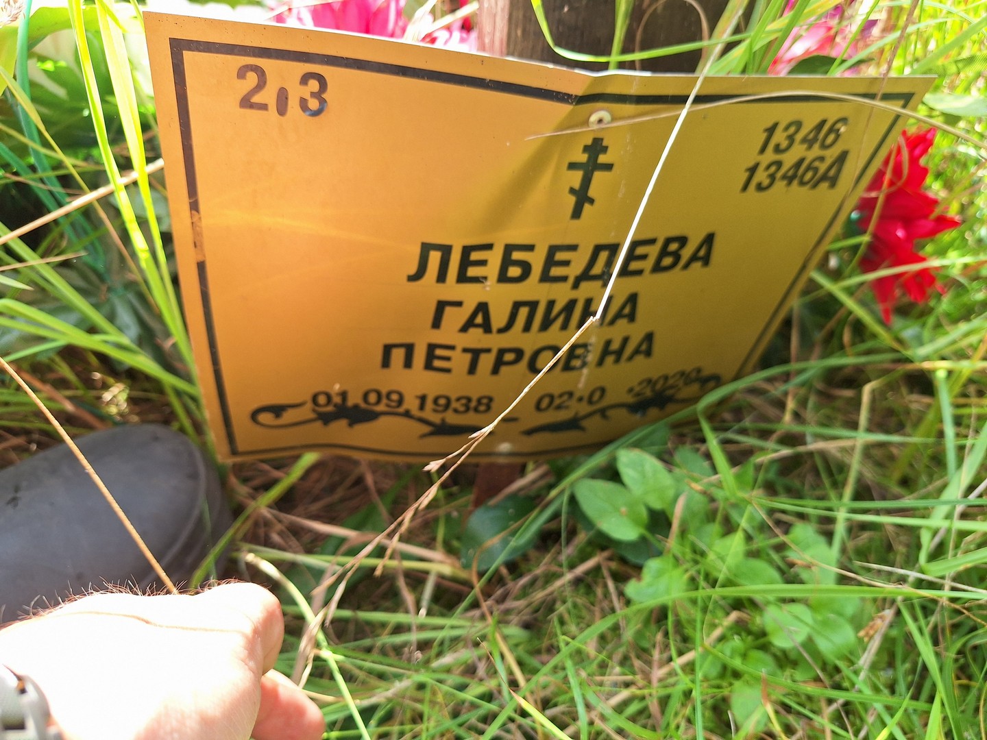 Лебедева