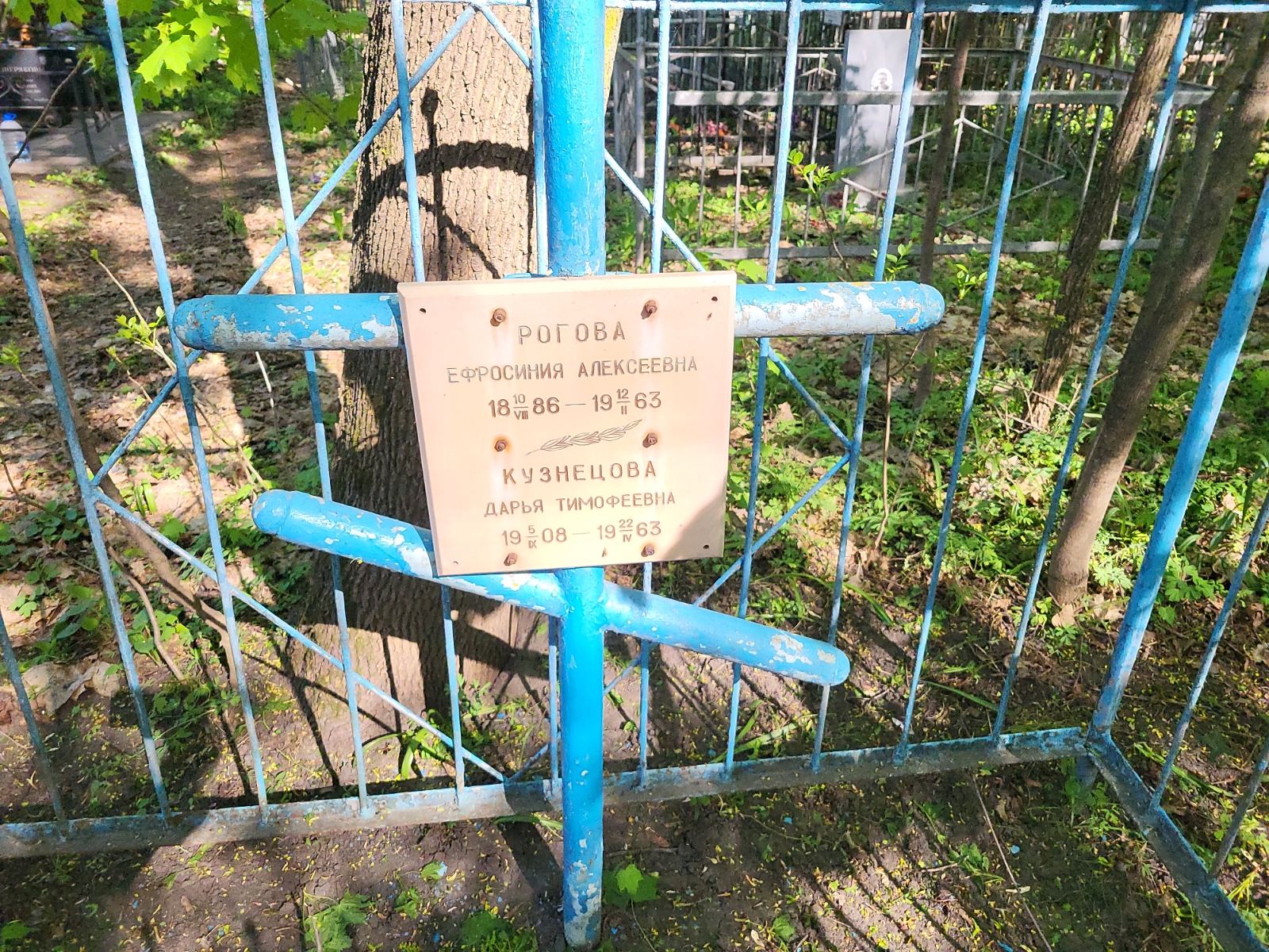 Рогова Ефросиния Алексеевна