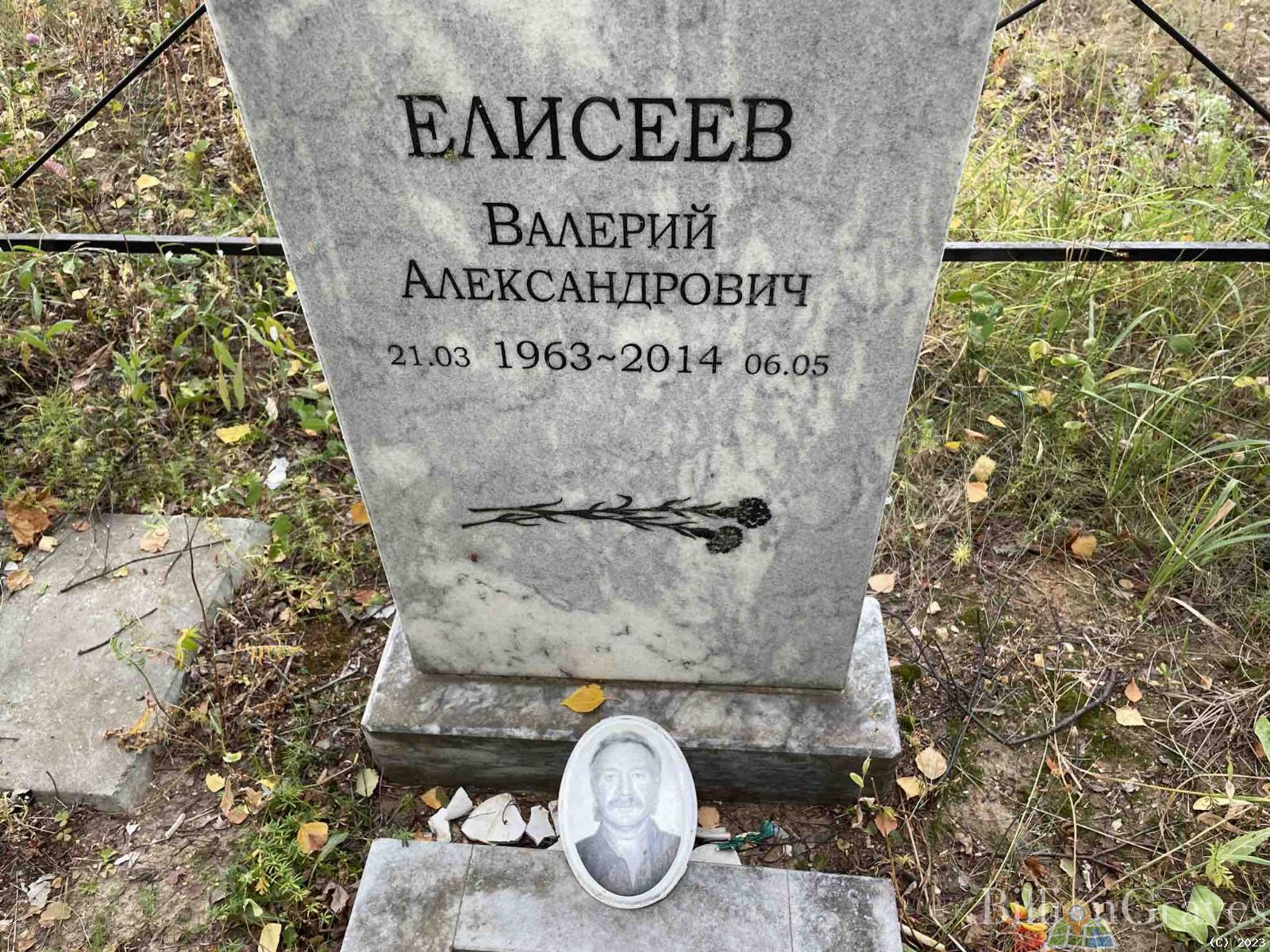 Елисеев Валерий Александрович