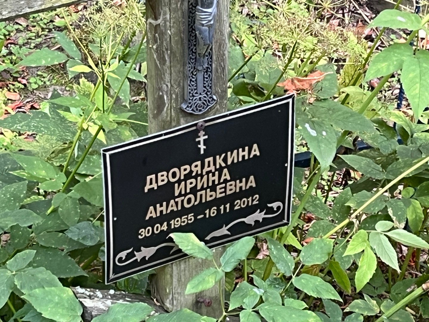 Дворядкина