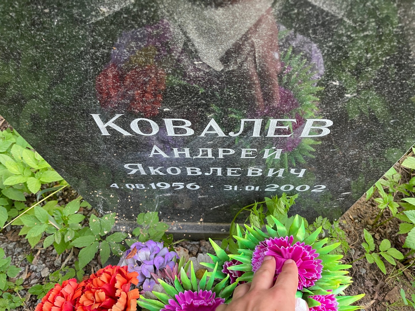 Ковалев