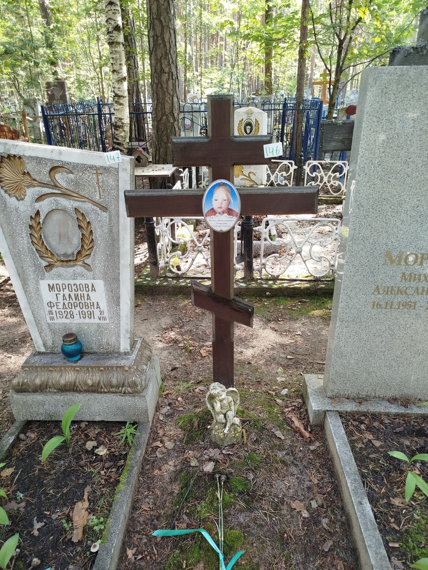 Черешнев Михаил Александрович
