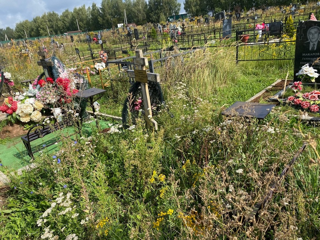 Торхова Тесси Александровна