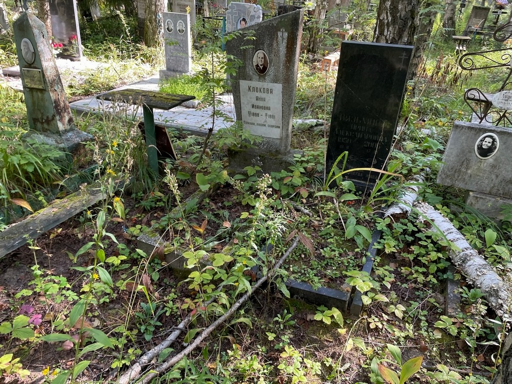Вязьмина Ирина Александровна