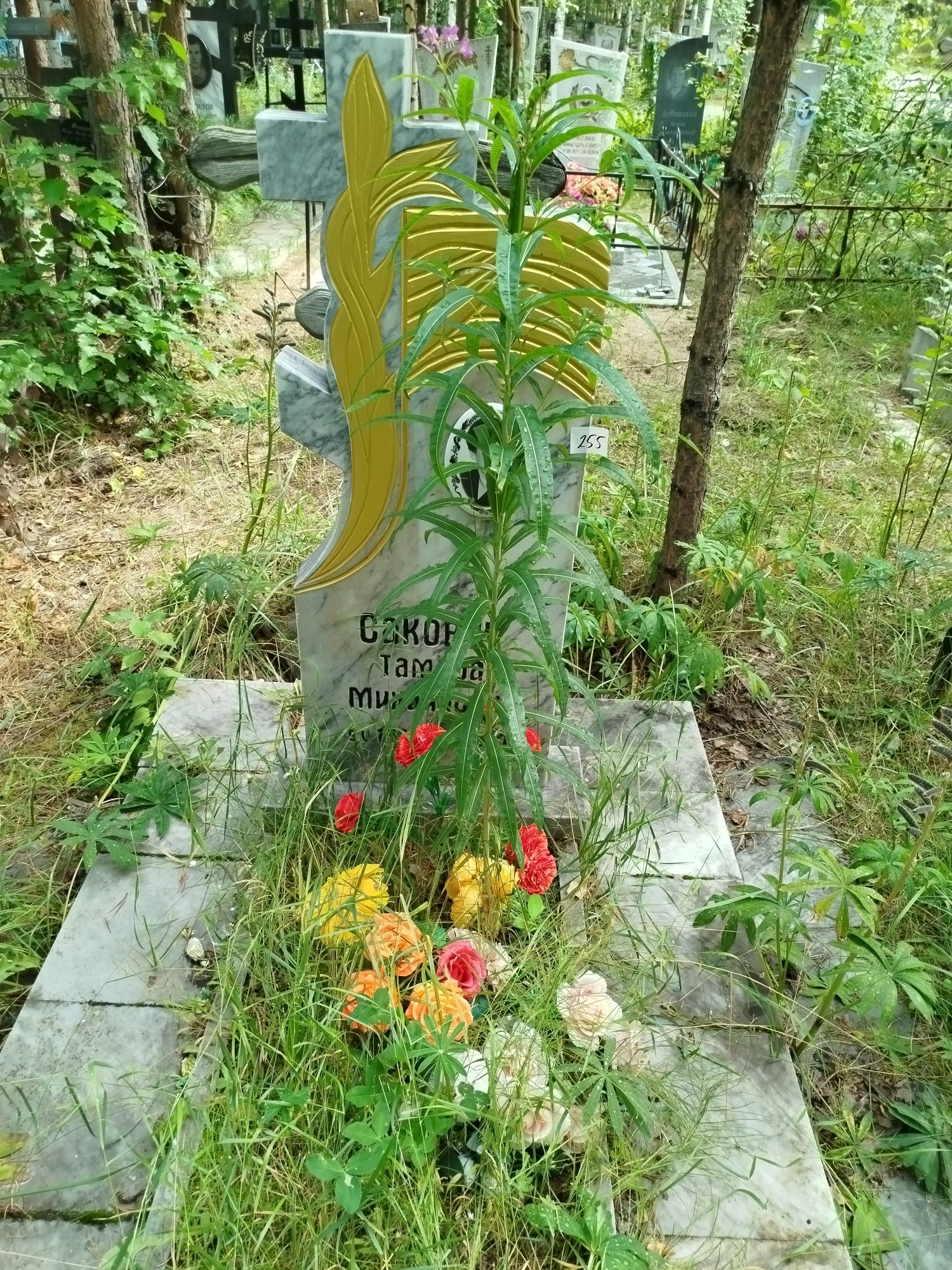 Сакович Тамара Михайловна