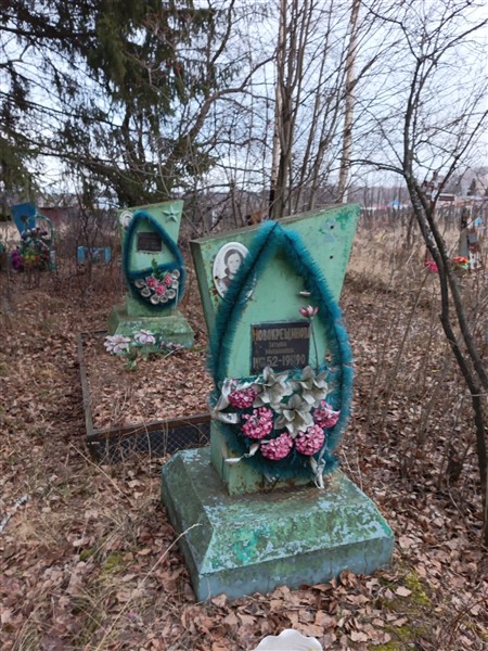 Новокрещинова Татьяна Михайловна