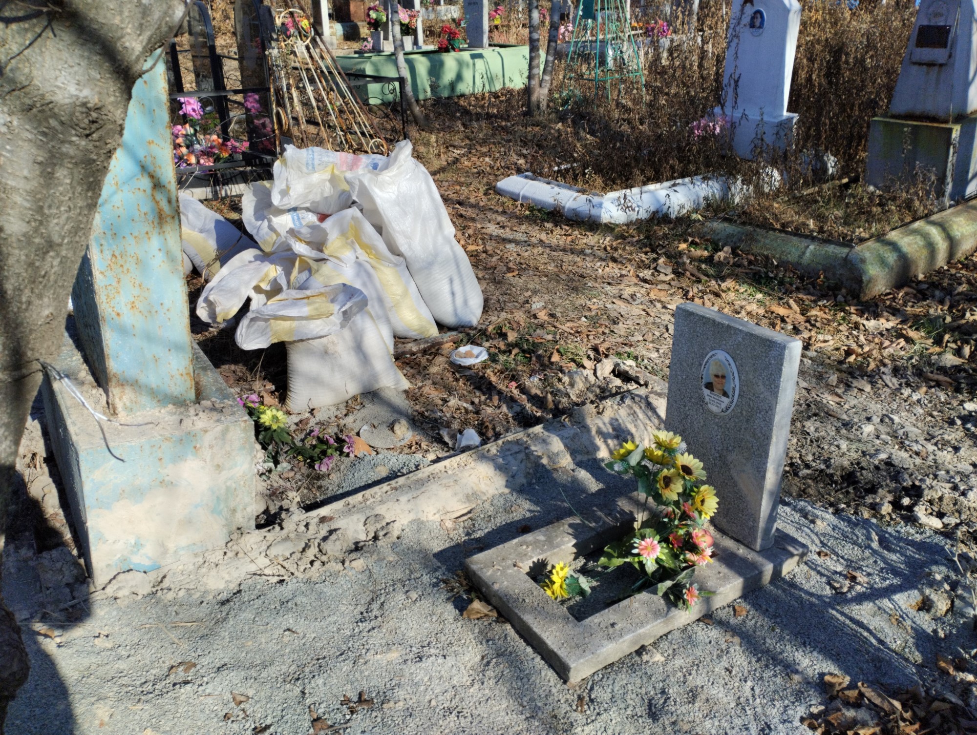 Понтус Дина Ангамовна