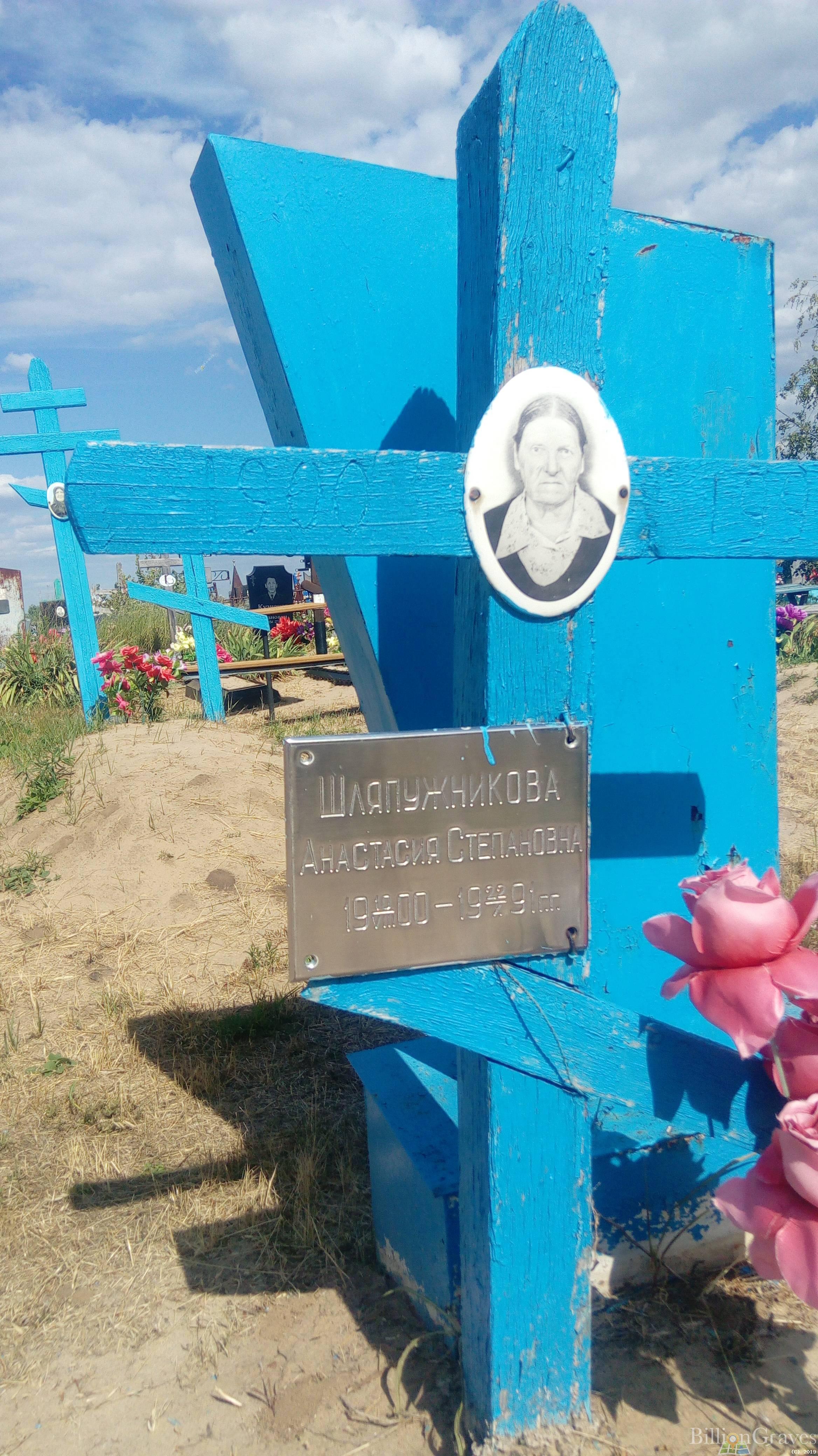 Шляпужникова Анастасия Степановна