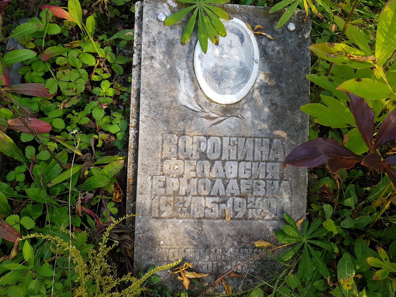Воронина Феодосия Ермолаевна